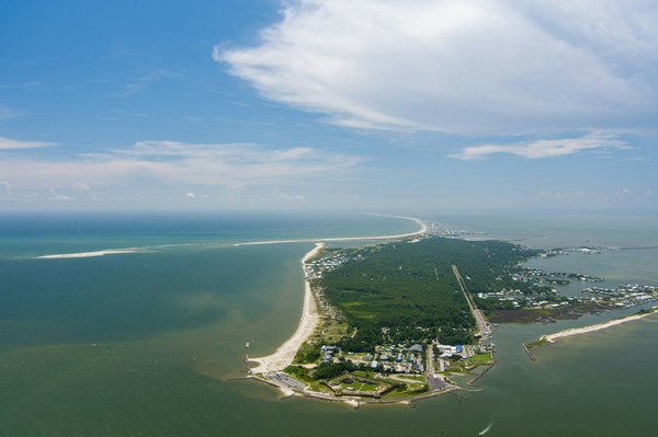 Où trouver les meilleures expériences de plongée avec les dauphins aux Maldives?