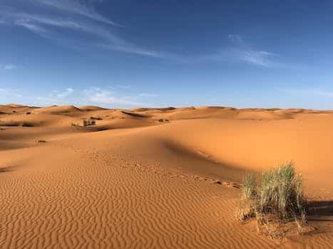 Comment visiter le désert du Sahara ?